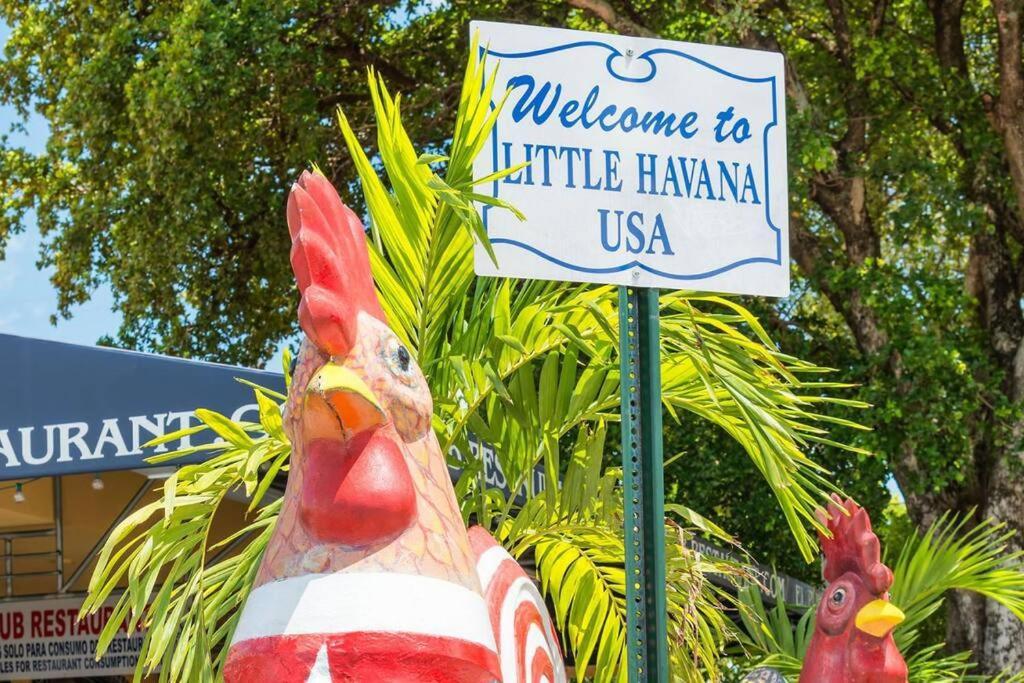 New! Havana Nights Villa ! Walk To Calle Ocho! Miami Kültér fotó